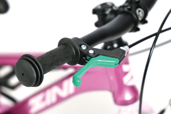 Zini 2025 Z29 Mountain Bike Key Feature
