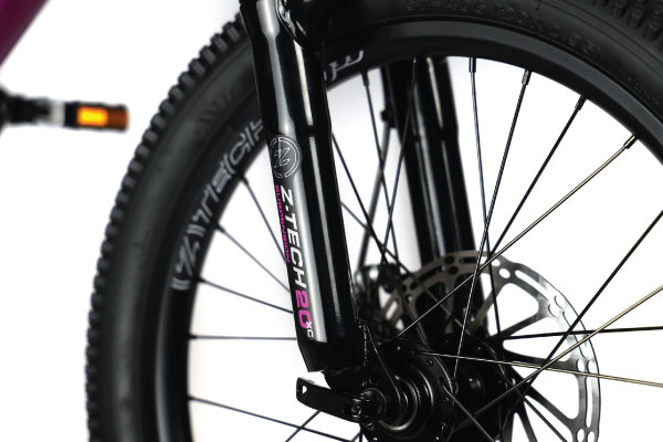 Zini 2025 Z29 Mountain Bike Key Feature