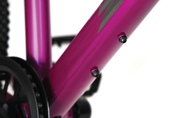Zini 2025 Z29 Mountain Bike Key Feature